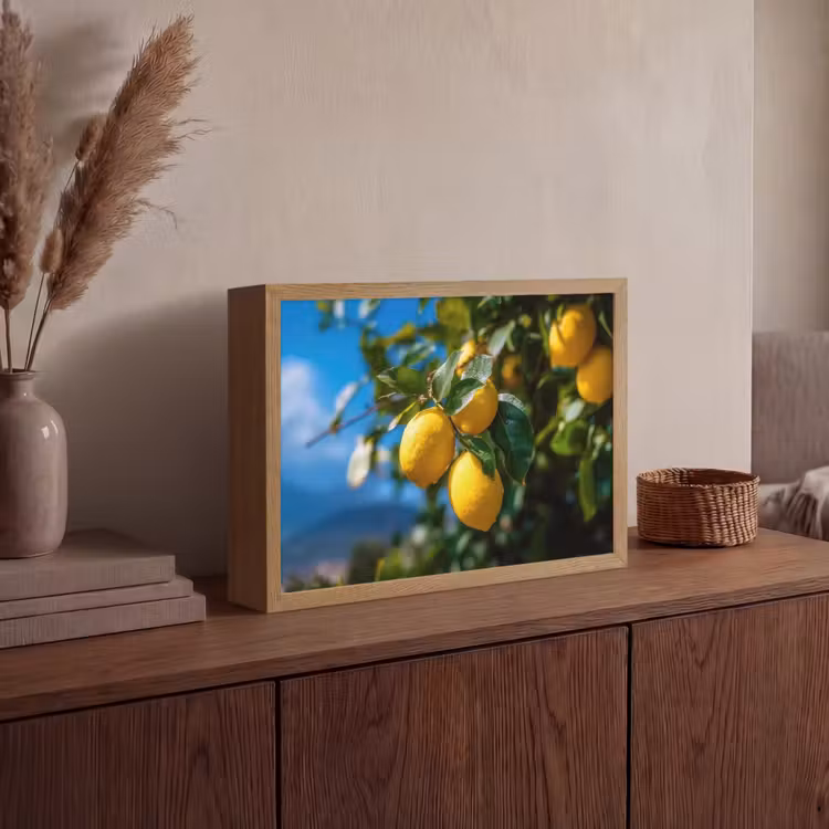 Lightbox - Wandlamp - Citroenen - Bladeren - Blauwe lucht — 4