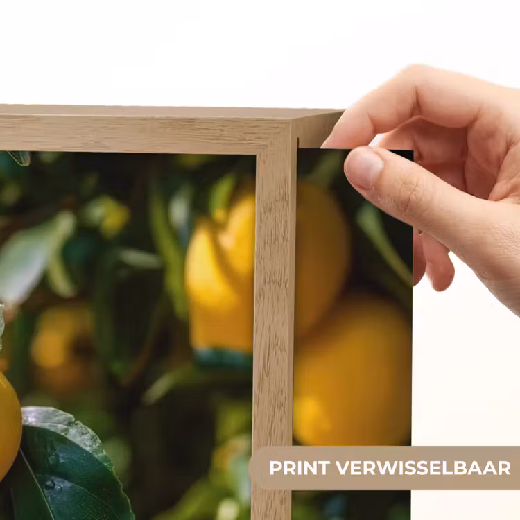 Lightbox - Wandlamp - Citroenen - Bladeren - Blauwe lucht — 5