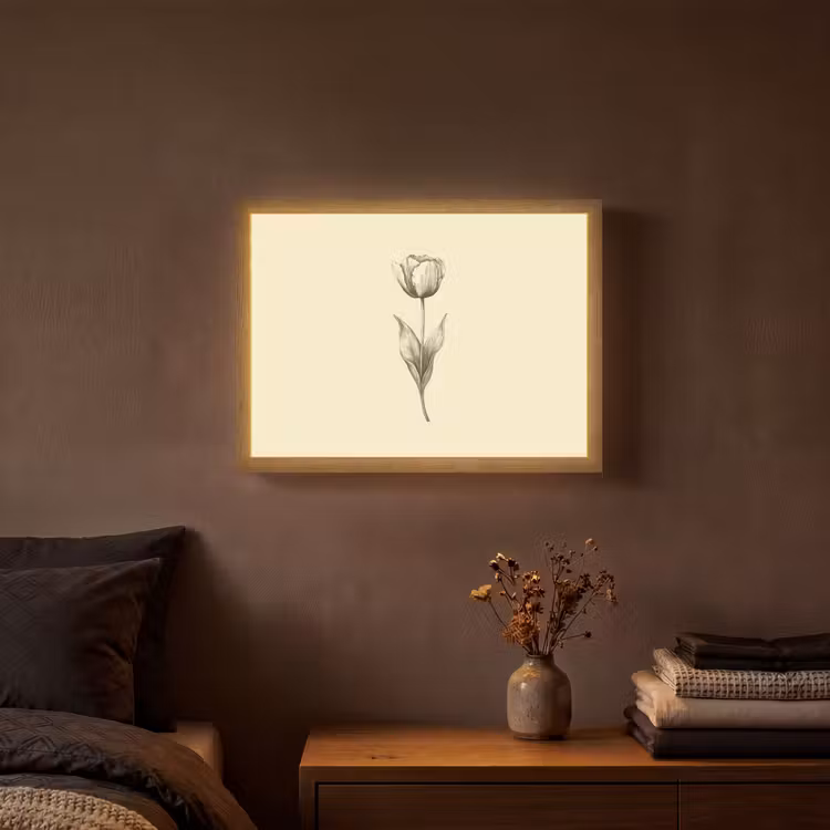 Lightbox - Wandlamp - Illustratie - Tulp - Zwart — 3