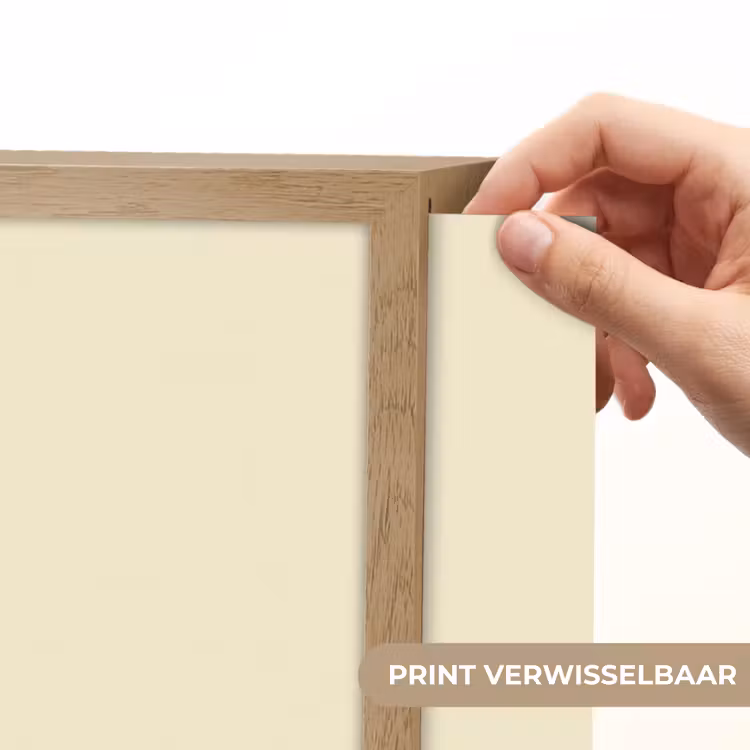 Lightbox - Wandlamp - Illustratie - Tulp - Zwart — 5