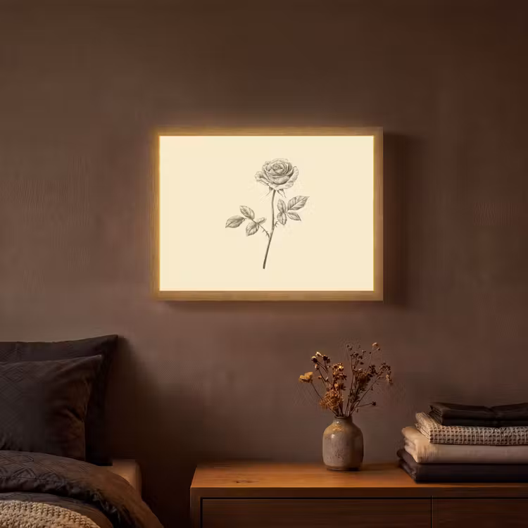 Lightbox - Wandlamp - Illustratie - Zwart - Roos — 3