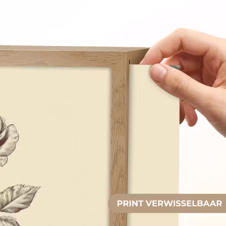 Lightbox - Wandlamp - Illustratie - Zwart - Roos — 5
