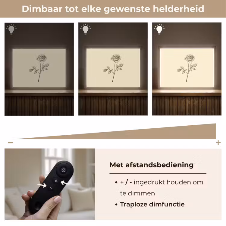Lightbox - Wandlamp - Illustratie - Zwart - Roos — 9