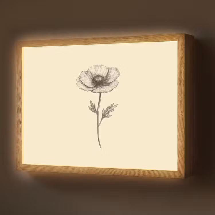 Lightbox - Wandlamp - Klaproos - Illustratie - Zwart — 1