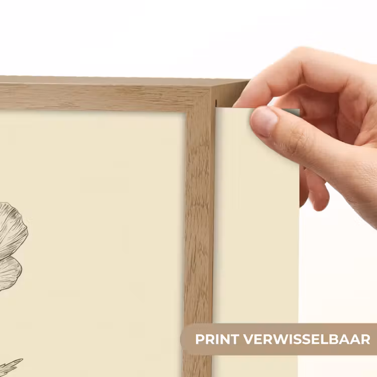 Lightbox - Wandlamp - Klaproos - Illustratie - Zwart — 5