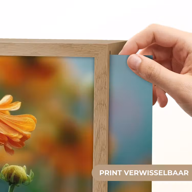 Lightbox - Wandlamp - Oranje bloemen - Levendig - Wazige achtergrond — 5