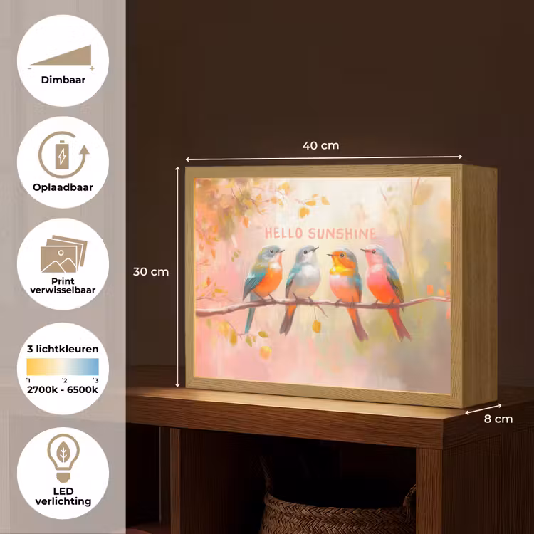 Lightbox - Wandlamp - Vogels - Tak - Quote - Roze — 10
