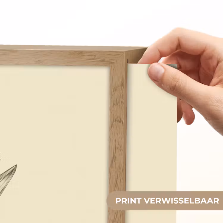 Lightbox - Wandlamp - Zwart - Narcis - Illustratie — 5