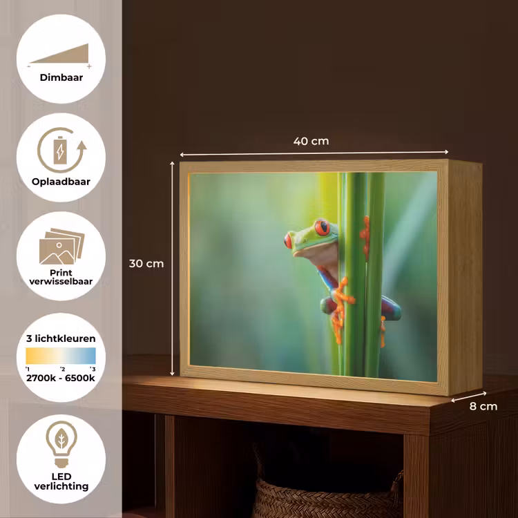 Lightbox - Wandlamp - Groene kikker - Nieuwsgierig - Gras — 10
