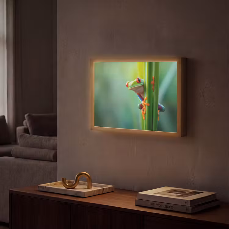 Lightbox - Wandlamp - Groene kikker - Nieuwsgierig - Gras — 2
