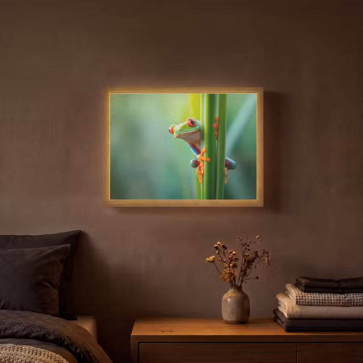 Lightbox - Wandlamp - Groene kikker - Nieuwsgierig - Gras — 3