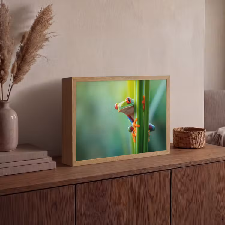Lightbox - Wandlamp - Groene kikker - Nieuwsgierig - Gras — 4