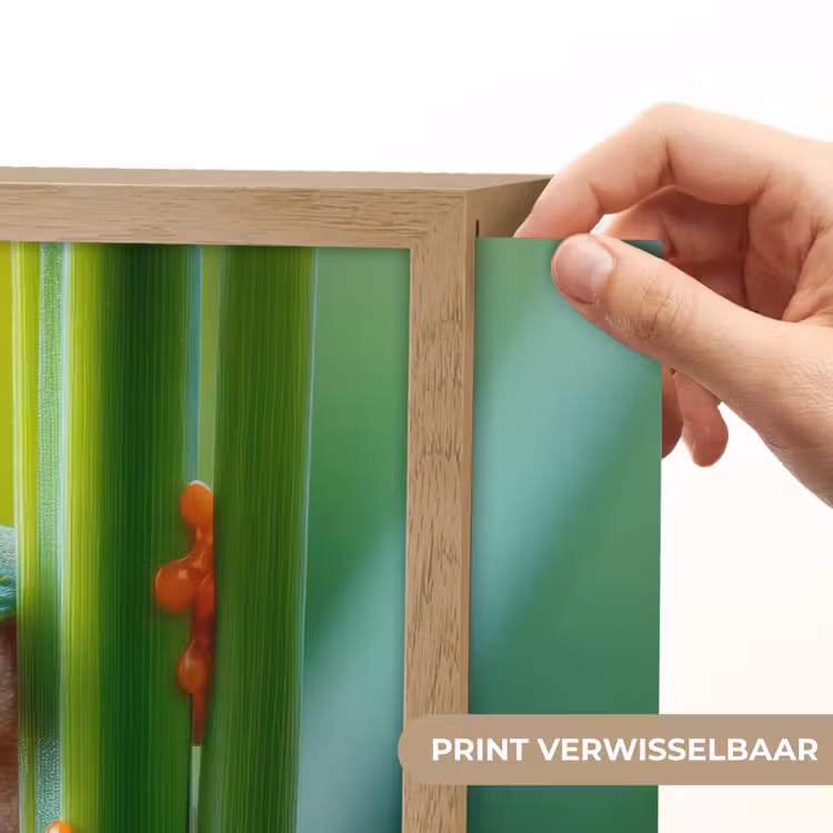 Lightbox - Wandlamp - Groene kikker - Nieuwsgierig - Gras — 5
