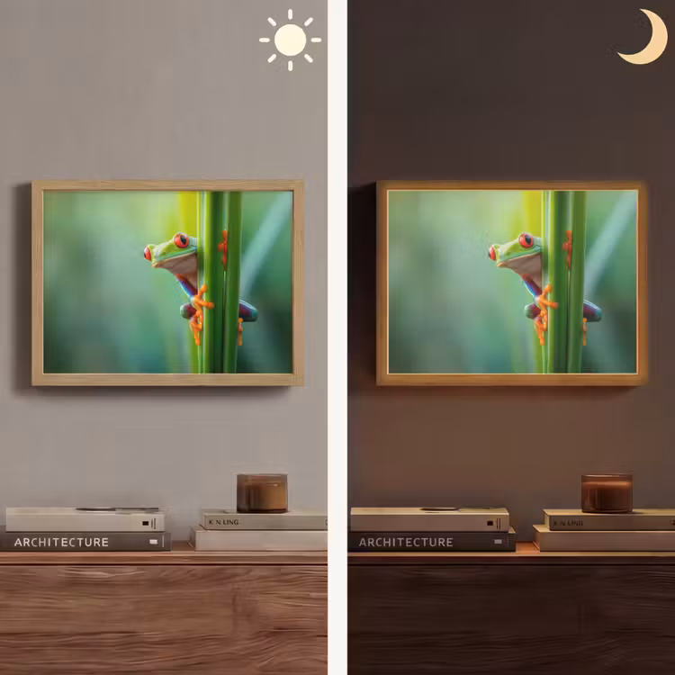 Lightbox - Wandlamp - Groene kikker - Nieuwsgierig - Gras — 6