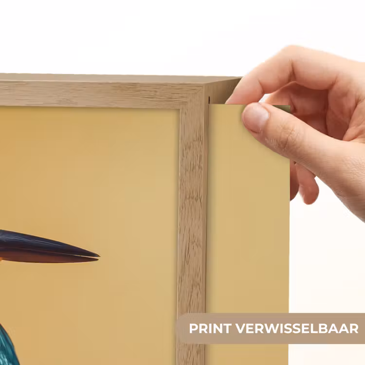 Lightbox - Wandlamp - Ijsvogel - Pilaar - Koksmuts - Vogel — 5