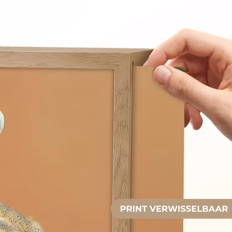 Lightbox - Wandlamp - Kerkuil - Koksmuts - Oranje - Vogel — 5