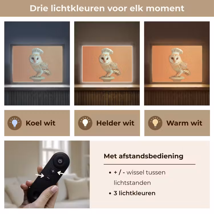 Lightbox - Wandlamp - Kerkuil - Koksmuts - Oranje - Vogel — 8