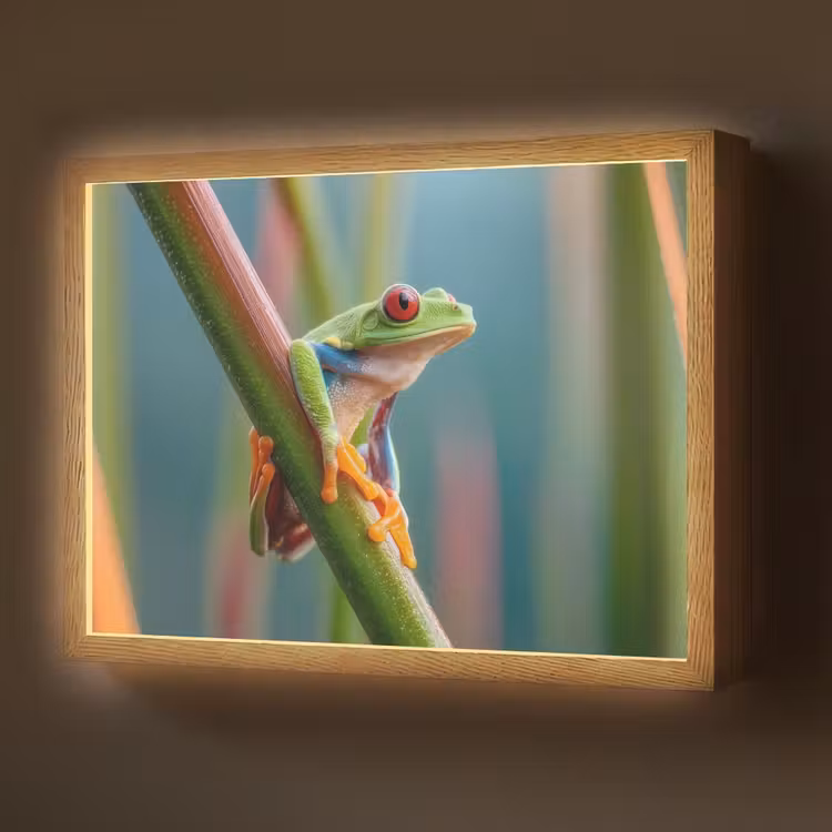 Lightbox - Wandlamp - Kleurrijke kikker - Groene stengel - Alert — 1