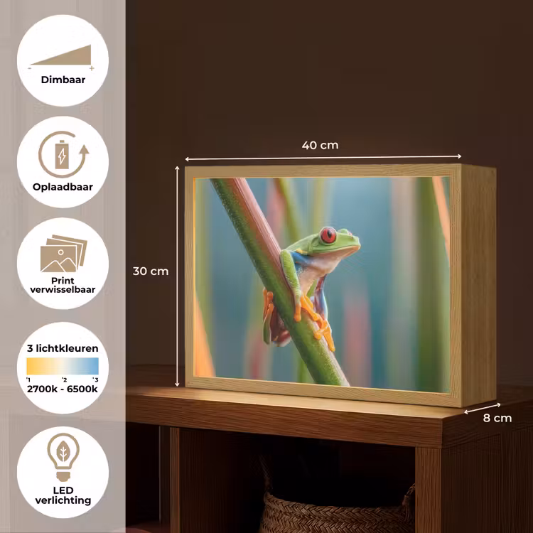 Lightbox - Wandlamp - Kleurrijke kikker - Groene stengel - Alert — 10