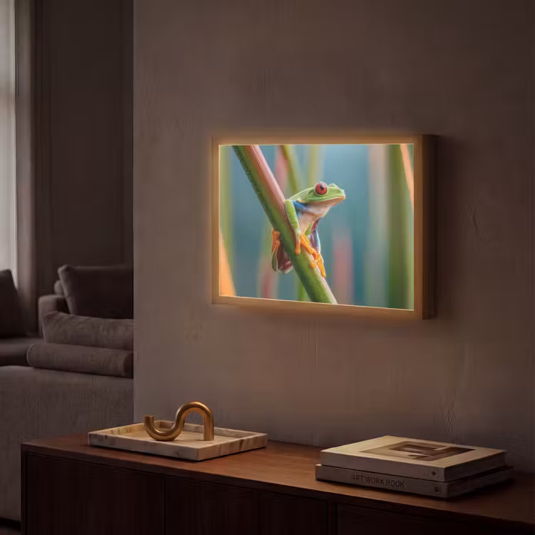 Lightbox - Wandlamp - Kleurrijke kikker - Groene stengel - Alert — 2