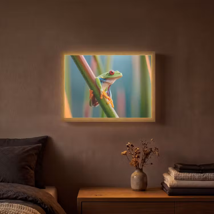 Lightbox - Wandlamp - Kleurrijke kikker - Groene stengel - Alert — 3
