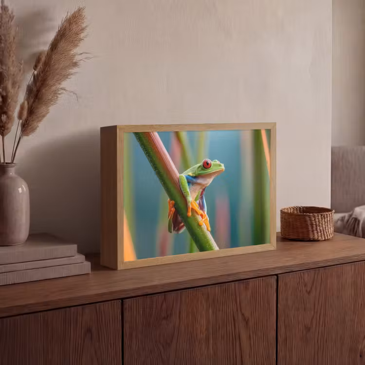 Lightbox - Wandlamp - Kleurrijke kikker - Groene stengel - Alert — 4