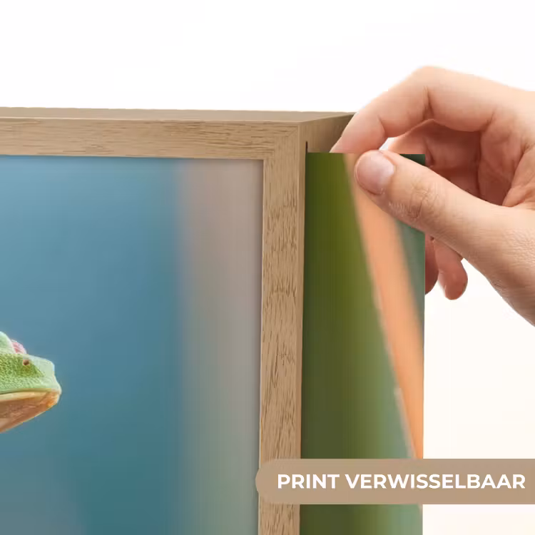 Lightbox - Wandlamp - Kleurrijke kikker - Groene stengel - Alert — 5