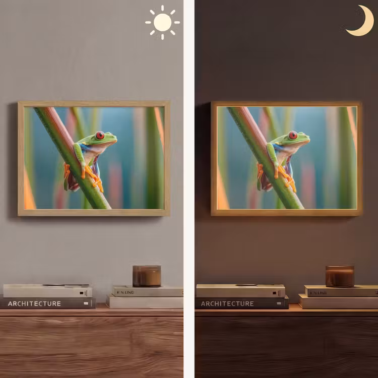 Lightbox - Wandlamp - Kleurrijke kikker - Groene stengel - Alert — 6
