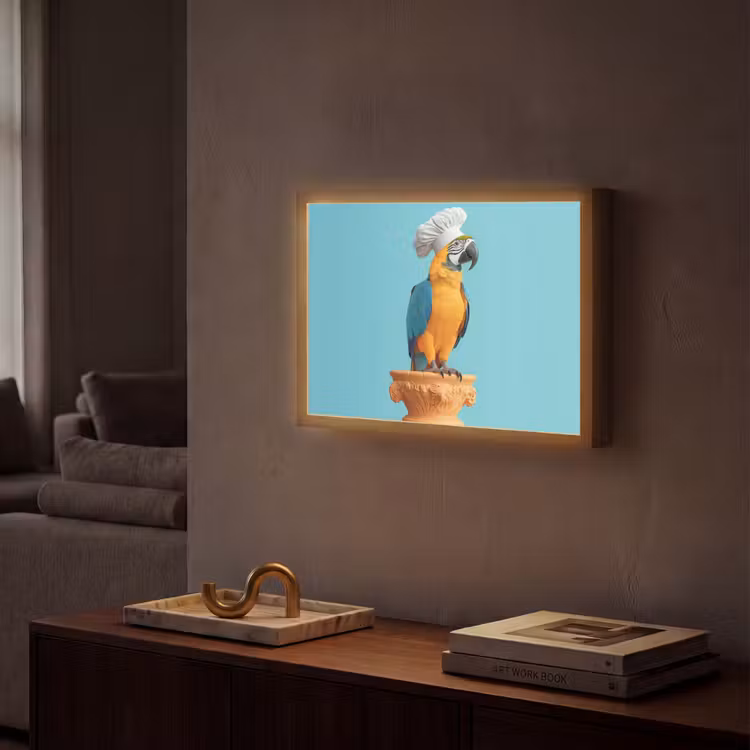 Lightbox - Wandlamp - Papegaai - Koksmuts - Grappig - Vogel — 2