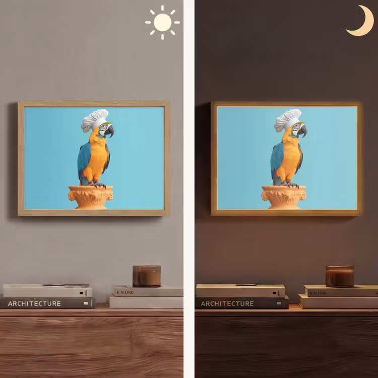 Lightbox - Wandlamp - Papegaai - Koksmuts - Grappig - Vogel — 6