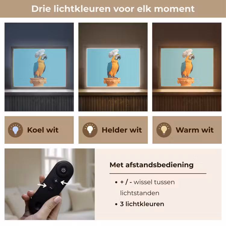Lightbox - Wandlamp - Papegaai - Koksmuts - Grappig - Vogel — 8