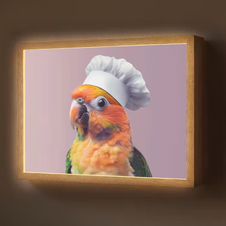 Lightbox - Wandlamp - Papegaai - Koksmuts - Nieuwsgierig - Vogel — 1