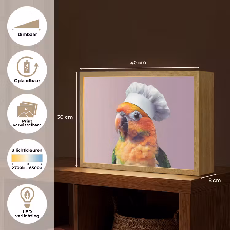 Lightbox - Wandlamp - Papegaai - Koksmuts - Nieuwsgierig - Vogel — 10