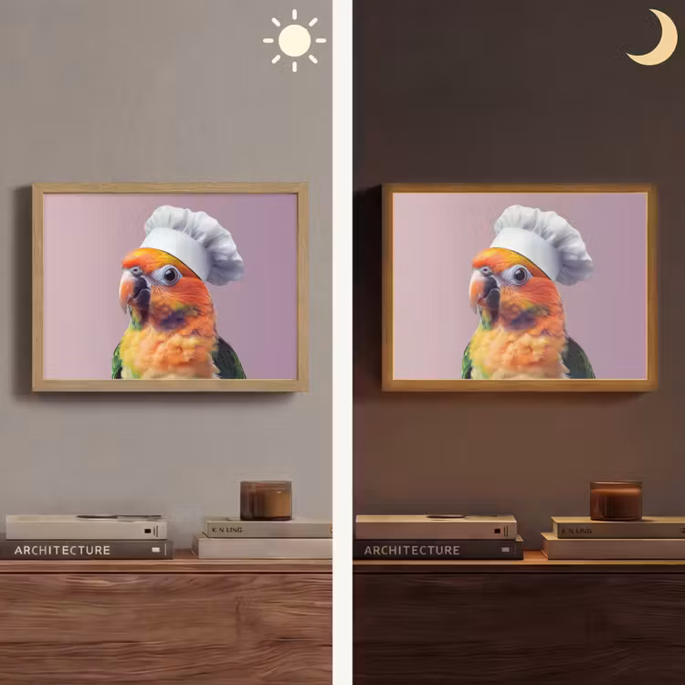 Lightbox - Wandlamp - Papegaai - Koksmuts - Nieuwsgierig - Vogel — 6