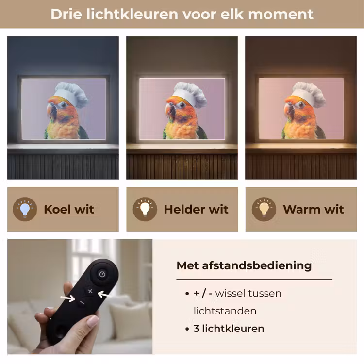 Lightbox - Wandlamp - Papegaai - Koksmuts - Nieuwsgierig - Vogel — 8