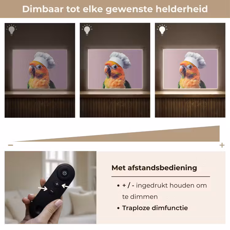 Lightbox - Wandlamp - Papegaai - Koksmuts - Nieuwsgierig - Vogel — 9