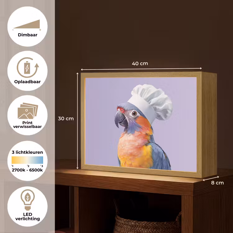 Lightbox - Wandlamp - Papegaai - Koksmuts - Paars - Cute — 10