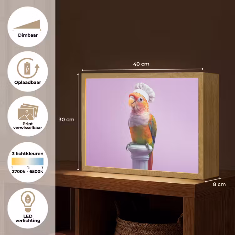 Lightbox - Wandlamp - Papegaai - Koksmuts - Pilaar - Vogel — 10