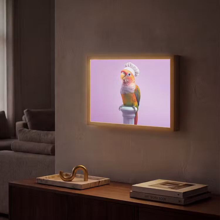 Lightbox - Wandlamp - Papegaai - Koksmuts - Pilaar - Vogel — 2