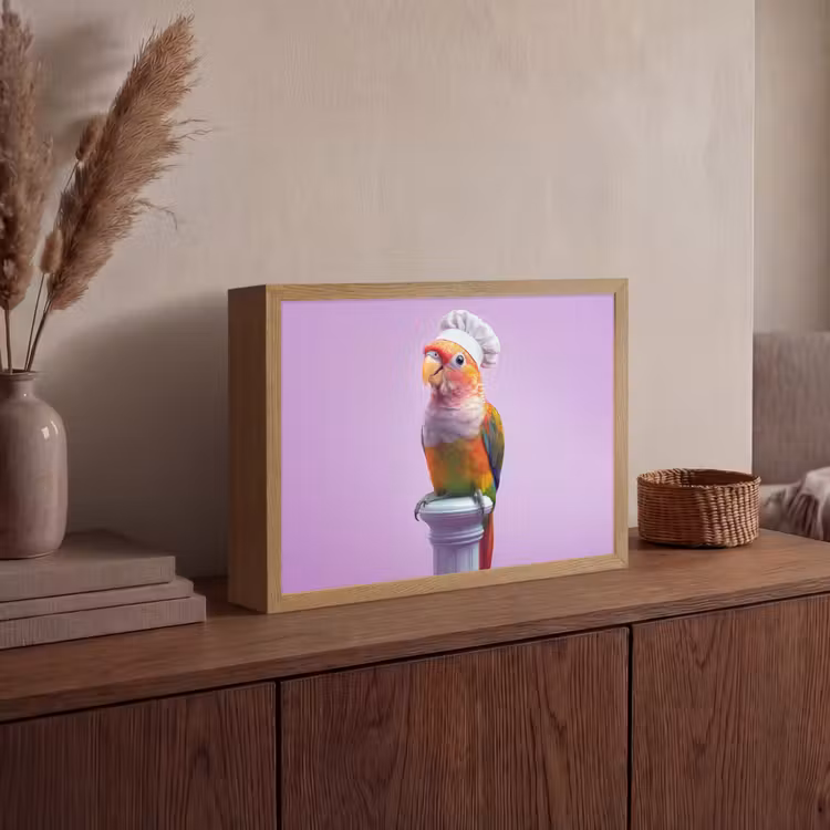 Lightbox - Wandlamp - Papegaai - Koksmuts - Pilaar - Vogel — 4