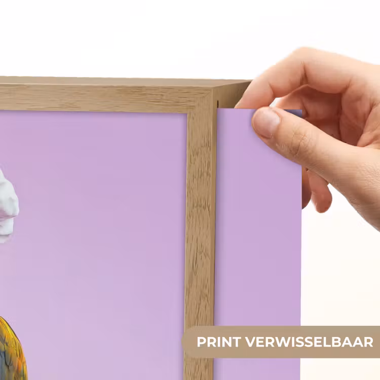 Lightbox - Wandlamp - Papegaai - Koksmuts - Pilaar - Vogel — 5