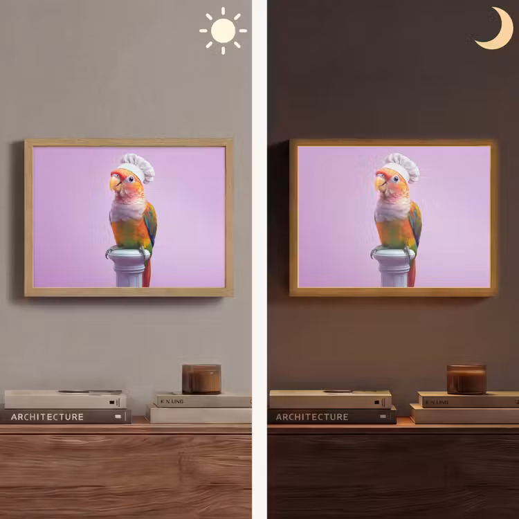 Lightbox - Wandlamp - Papegaai - Koksmuts - Pilaar - Vogel — 6