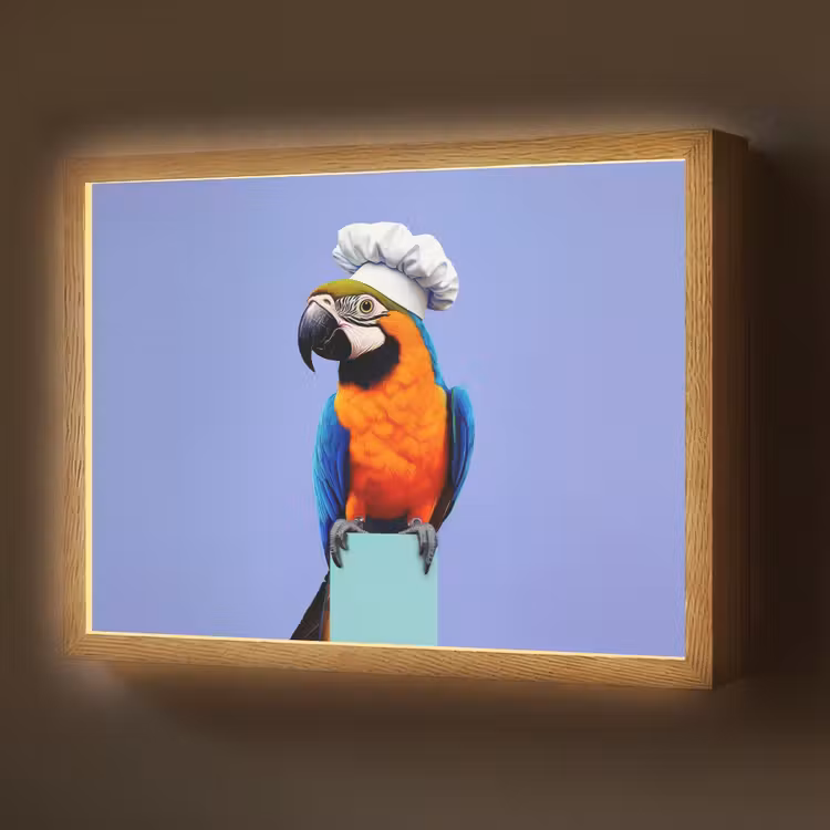 Lightbox - Wandlamp - Papegaai - Koksmuts - Vogel - Leuk — 1
