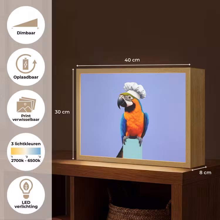 Lightbox - Wandlamp - Papegaai - Koksmuts - Vogel - Leuk — 10
