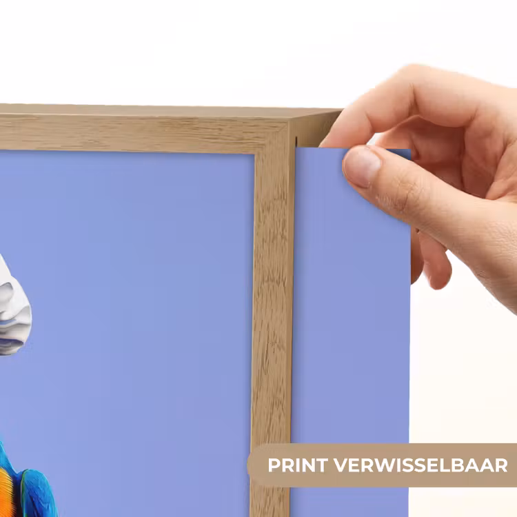 Lightbox - Wandlamp - Papegaai - Koksmuts - Vogel - Leuk — 5