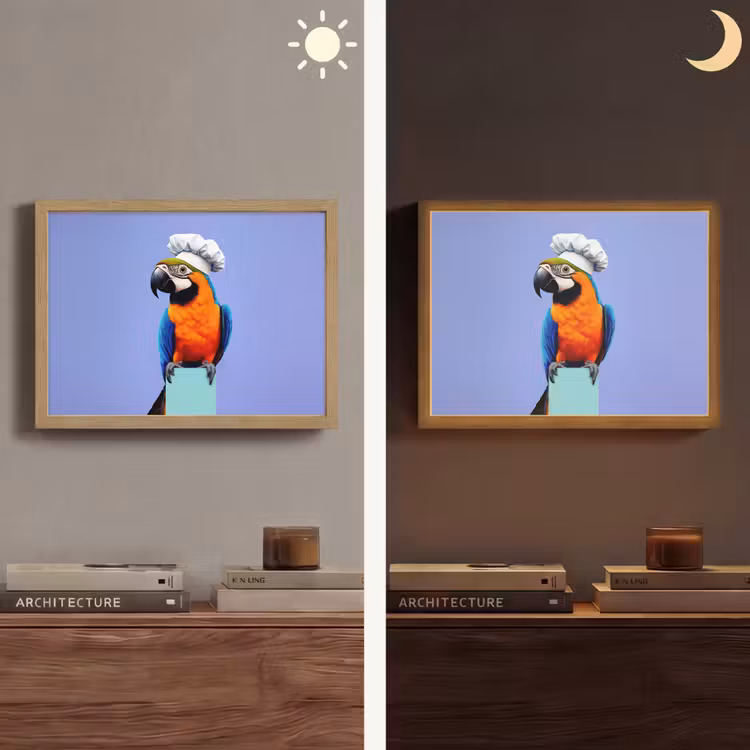 Lightbox - Wandlamp - Papegaai - Koksmuts - Vogel - Leuk — 6