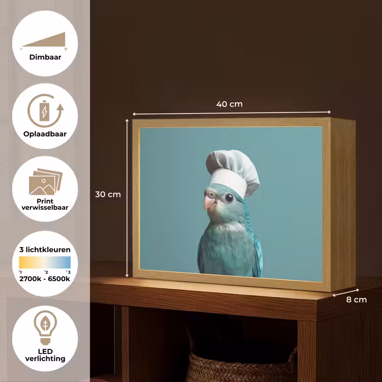 Lightbox - Wandlamp - Parkiet - Vogel - Koksmuts - Cute — 10