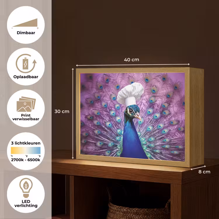 Lightbox - Wandlamp - Pauw - Koksmuts - Cool - Paars — 10
