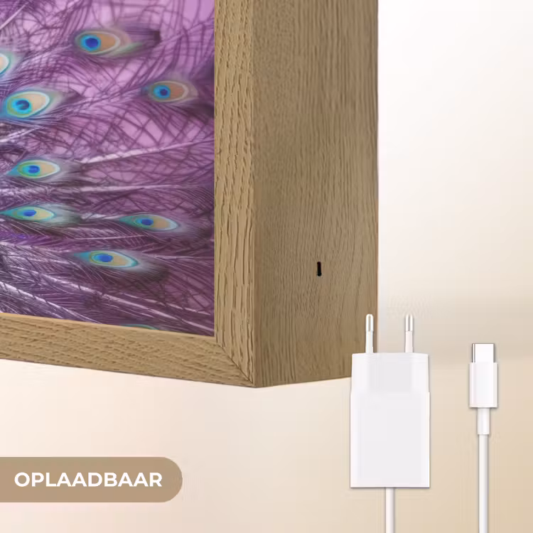 Lightbox - Wandlamp - Pauw - Koksmuts - Cool - Paars — 7