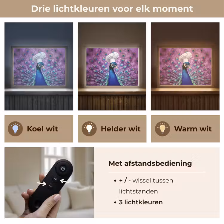 Lightbox - Wandlamp - Pauw - Koksmuts - Cool - Paars — 8
